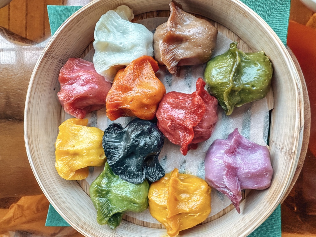vegan rainbow gyoza