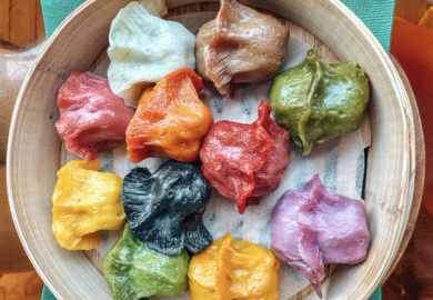 vegan gyoza tokyo
