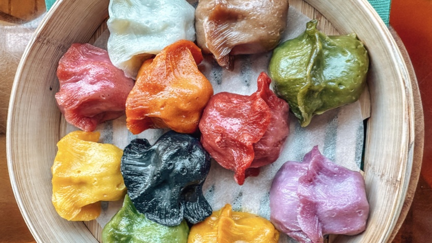vegan gyoza tokyo