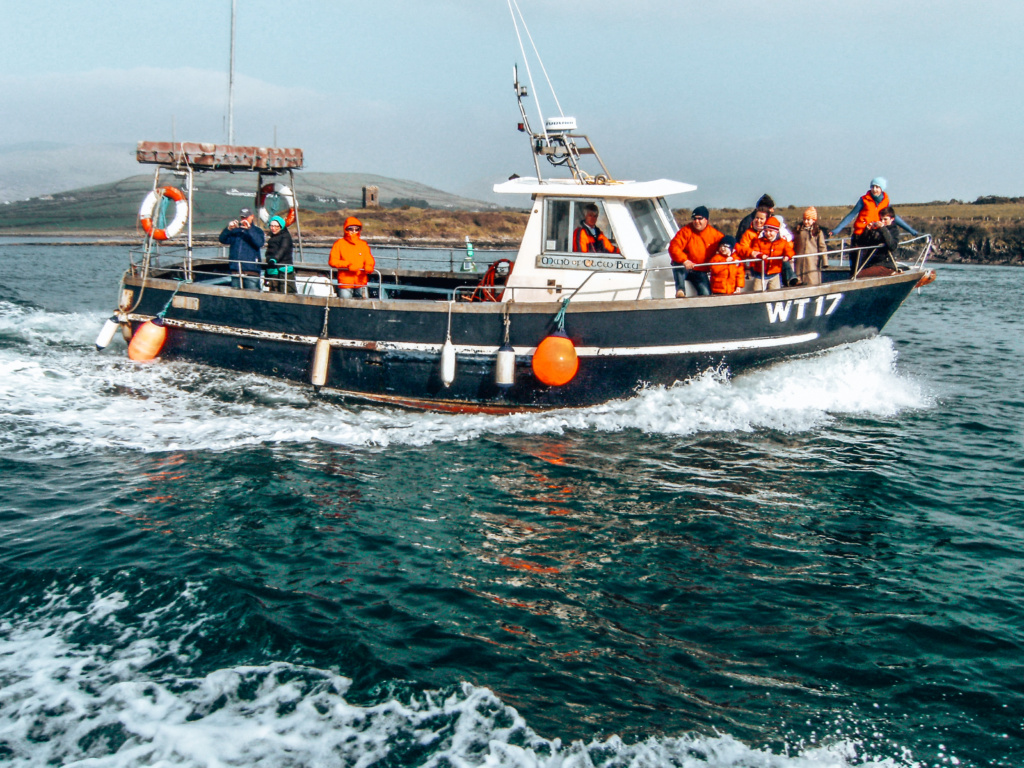 dingle peninsula dolphin cruise
