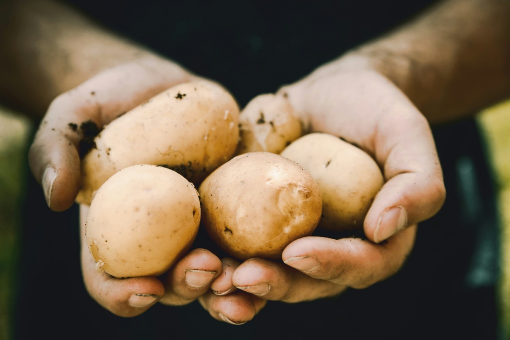 irish cuisine history